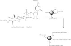 Figure US07125843-20061024-C00111