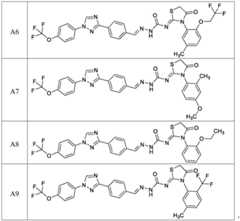 Figure FDA0002994985350000031