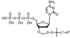 Figure imgf000220_0001