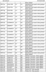 Figure imgf000017_0001