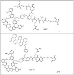 Figure imgf000091_0001