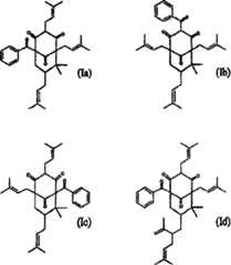 Figure A028274110003C1