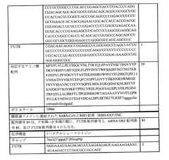 Figure 0007438604000073