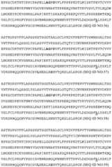 Figure BDA0002328692870000841