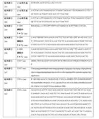 Figure 0007483732000080