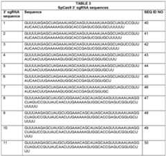 Figure imgf000023_0001