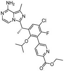 Figure BDA0002087626840001533