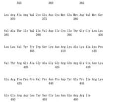 Figure 108124666-A0101-12-0195-119