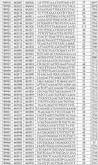 Figure BDA0003282506760001821