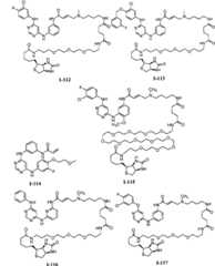 Figure BPA00001476434900611