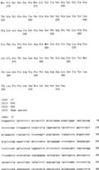 Figure IPA0000175387180000161