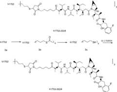 Figure GPA0000266575640000351