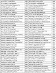 Figure imgf000071_0001