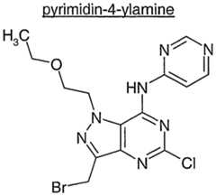 Figure imgf000209_0002