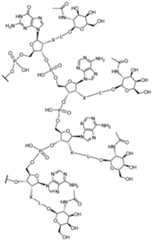 Figure imgf000063_0001