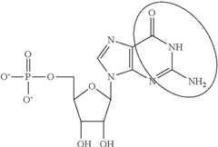 Figure US09675668-20170613-C00094