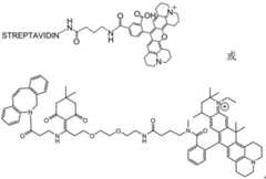 Figure BDA0003670511740002121