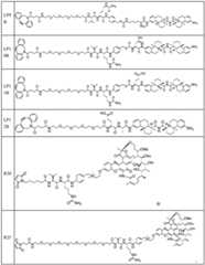 Figure BDA0002889616220002021