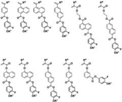 Figure 0007468295000009