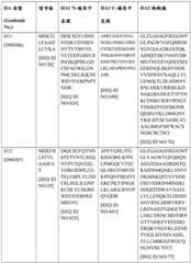 Figure BDA0004089703340001671