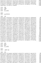 Figure IDA0002536600790000811