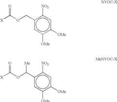 Figure US06955915-20051018-C00013