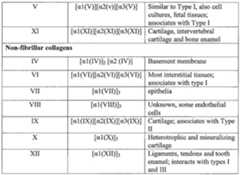 Figure imgf000060_0001