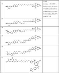 Figure BDA0003027048450003661