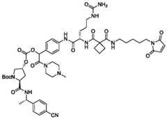 Figure BDA0004113777320002011