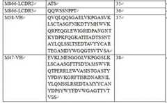 Figure DEST_PATH_IMAGE004