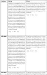 Figure imgf000030_0001