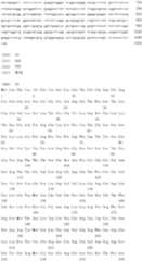 Figure IDA0000079231860000601