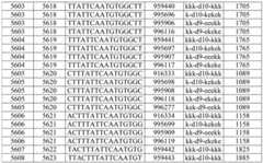 Figure BDA0002976854330001971