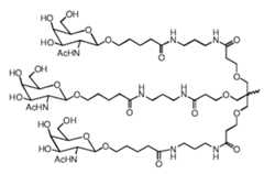Figure imgf000093_0001