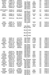 Figure 112018088977530-pat00144