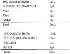 Figure BDA0002376975380000101