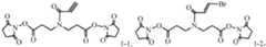 Figure imgb0893