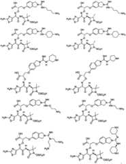 Figure GPA0000290633380000161