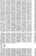 Figure IPA0000293710130000381