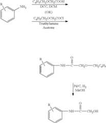 Figure US08802892-20140812-C00014