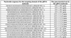 Figure imgf000040_0001