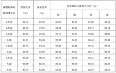 Figure BDA0002868525110000052