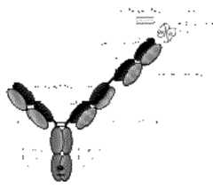 Figure imgf000163_0001