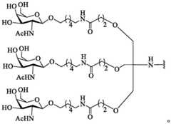 Figure GDA0003564942560000731