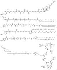 Figure imgf000341_0001