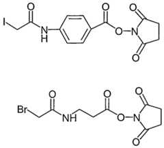Figure imgf000141_0006