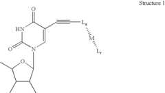 Figure US06686150-20040203-C00001