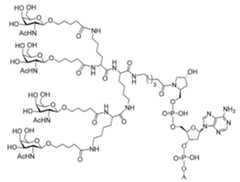 Figure 2023012548000252