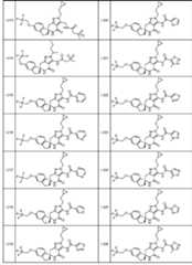 Figure JPOXMLDOC01-appb-T000103