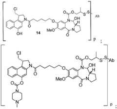 Figure FDA0003021893850000131